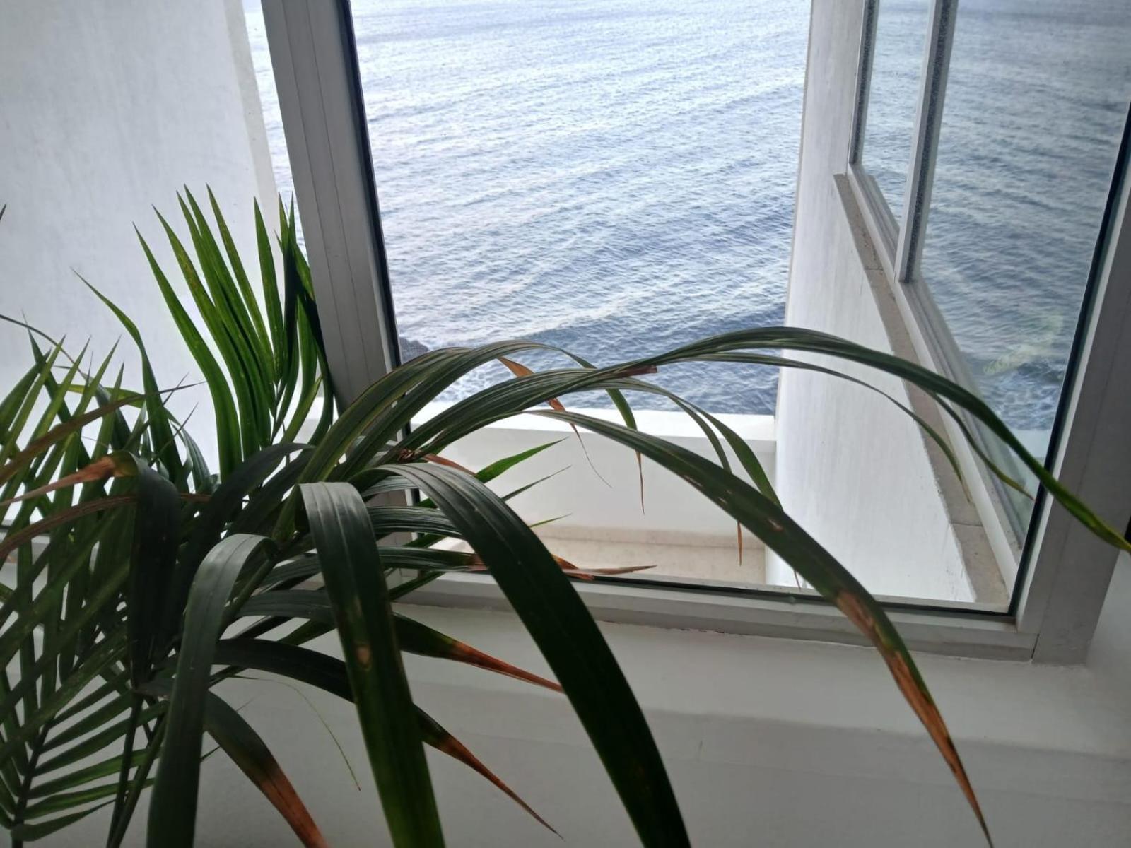 Apartamentos Playa Chica / Playa Las Gaviotas Santa Cruz de Tenerife Kültér fotó